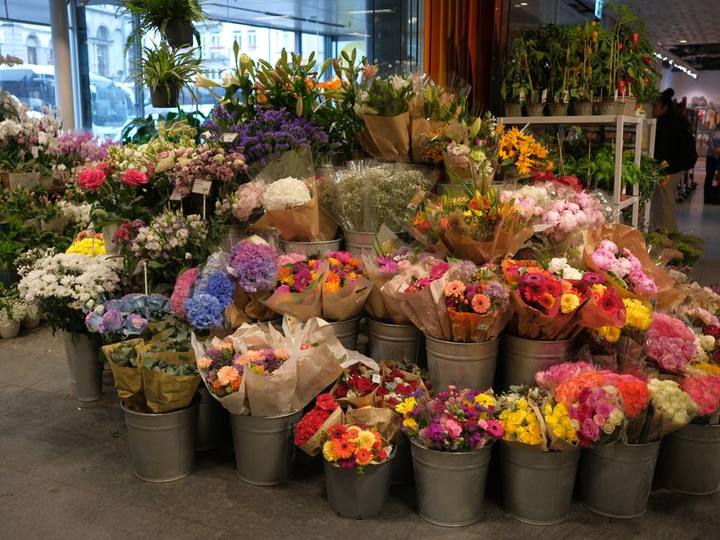 店先の花